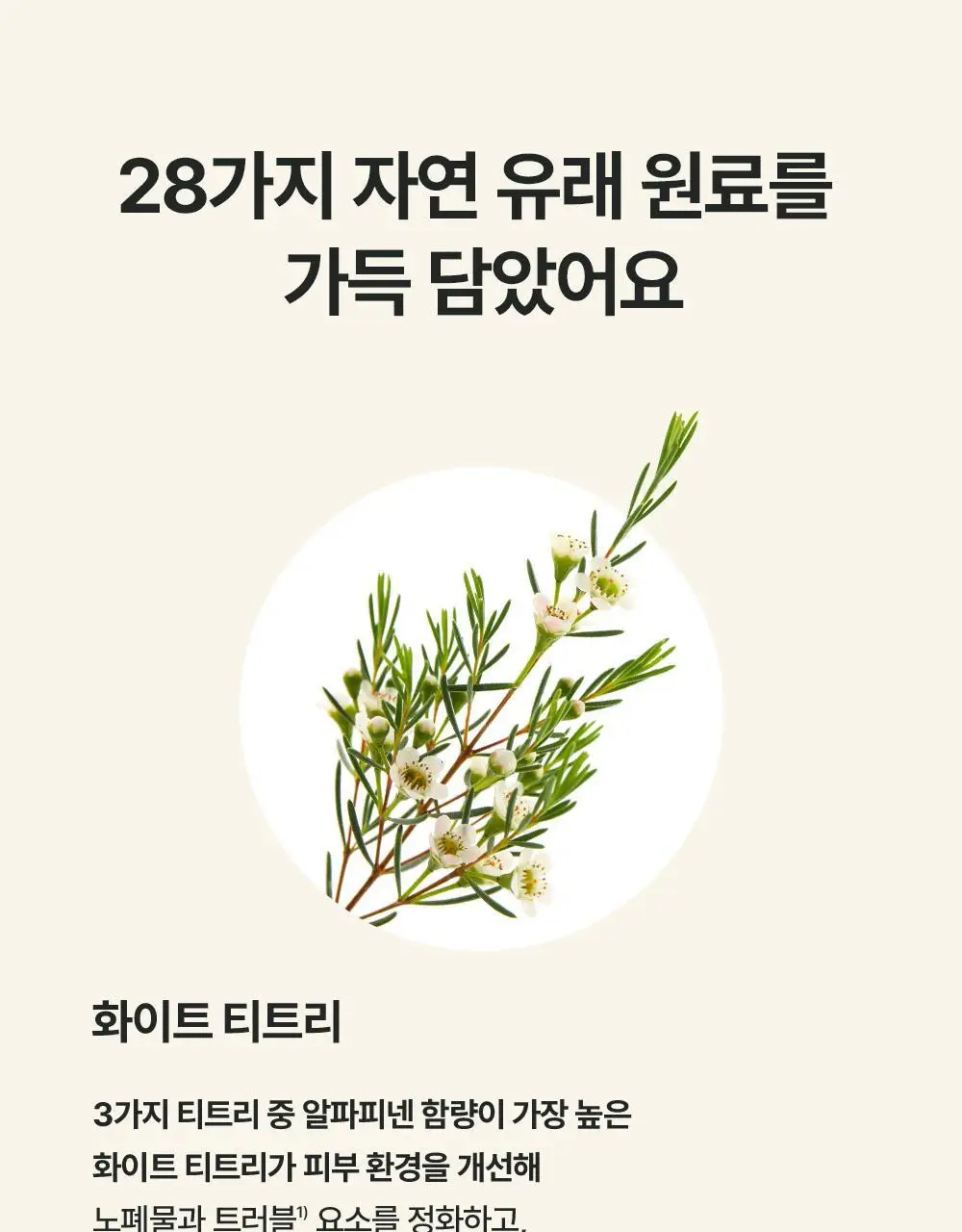 [모공/피지 클렌징] 티엘스 화이트 티트리 아크 플러스 팩클렌저 100ml 상세페이지 32